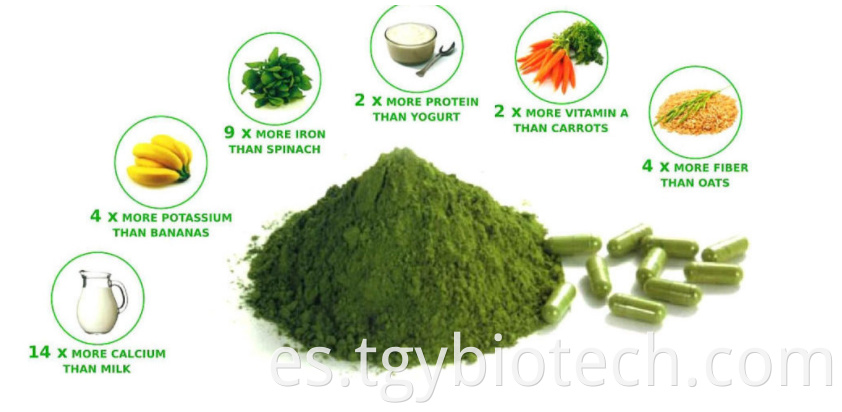 Organic Spirulina Powder Bulk